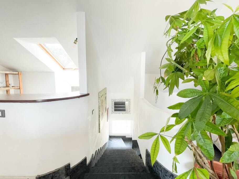 Elegante Appartamento 100 Mq Parcheggio - Wi Fi Savona Bagian luar foto